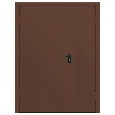 Дверь металлическая противопожарная двустворчатая EI45 ДМП 21-13.5
